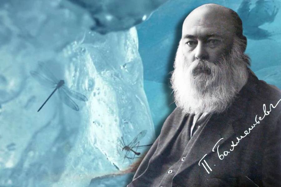 Бахметьев Порфий Иванович (1860 — 1913)
