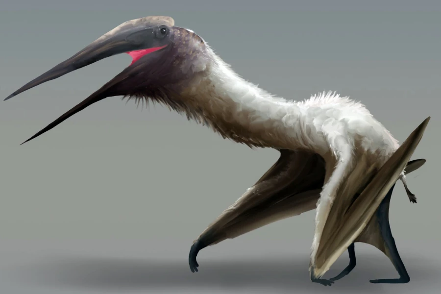 криодракон (Cryodrakon boreas) криодракон (Cryodrakon boreas)