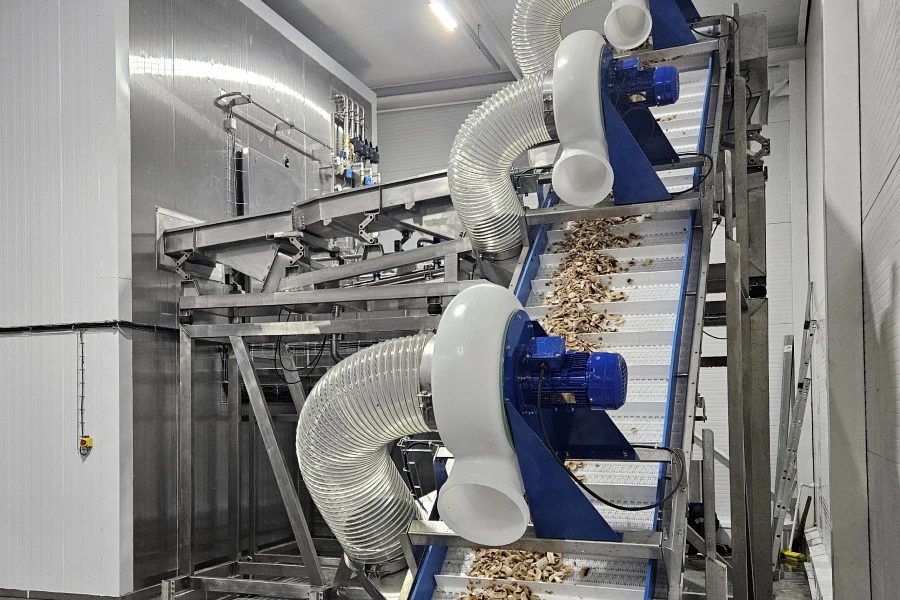 В Подмосковье запущена в работу линия по замораживанию плодоовощной продукции производительностью 3000 кг/ч.