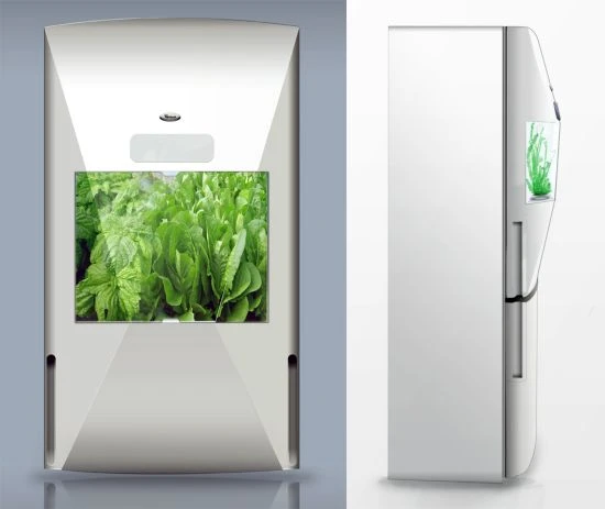 Холодильник — огород