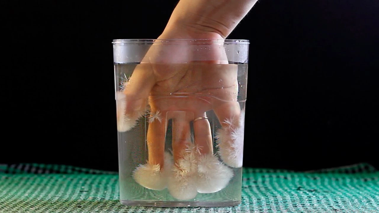 «Горячий лед»: эксперимент в домашних условиях