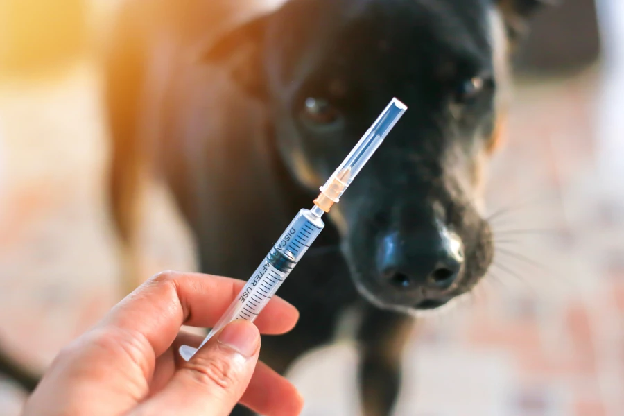 вакцины для животных