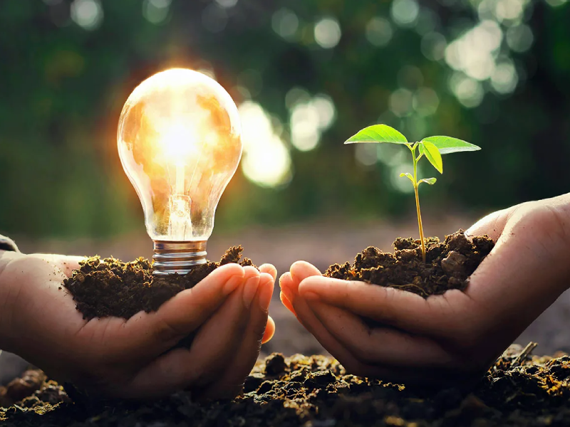 Лампочки и росток картинка про энергосбережение